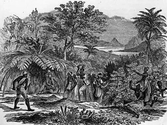 Brazil has a history of centuries of plantation economy and 400 years of slavery