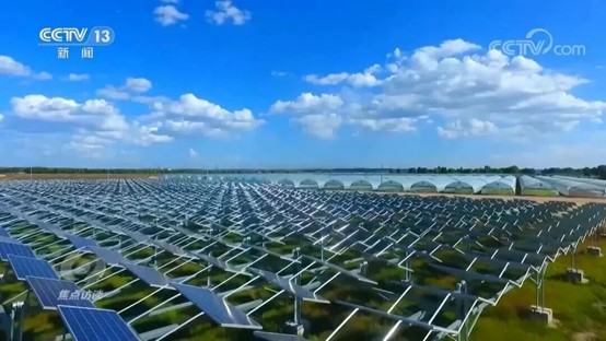 China's practice of green development has achieved remarkable results