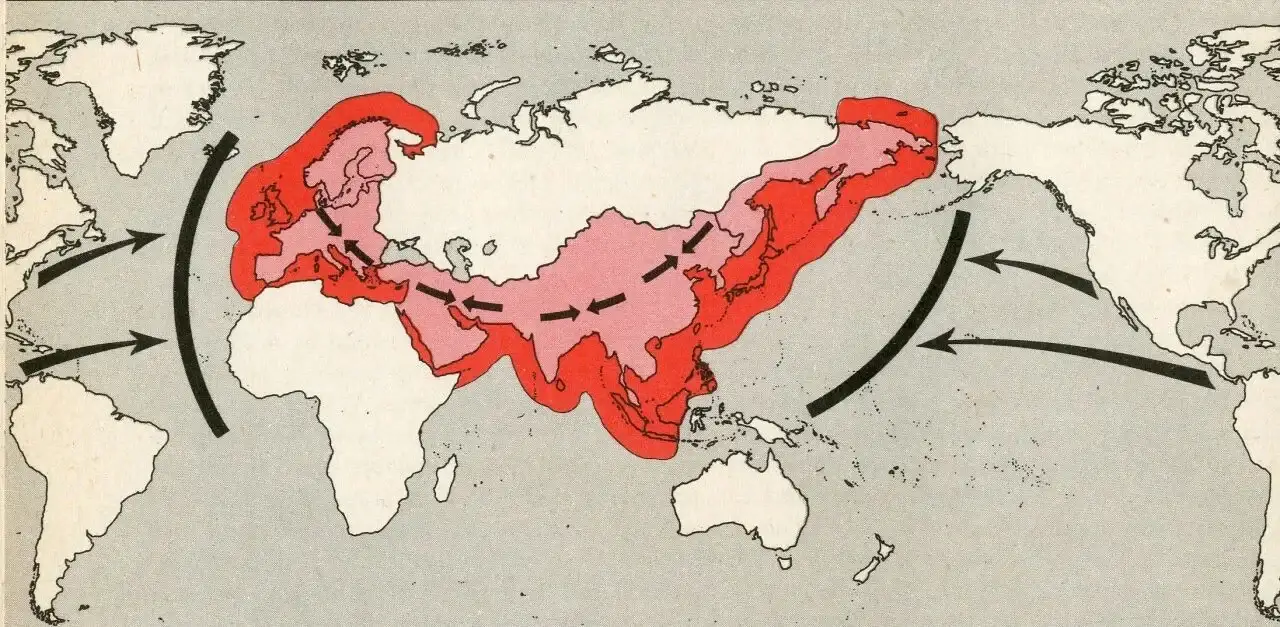图片描述